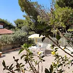 Rampanti ליקאטה